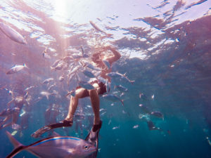 Catalina Island Snorkeling with fish