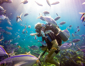 Scuba Diver with friendly fish