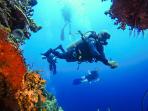 Scuba Diver exploring "The Wall" at Catalina Island